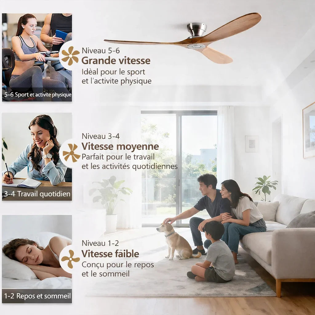 Tenebra | Ventilateur de plafond bois massif foncé et noir